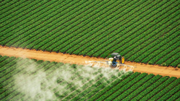 Best Termite Control Services  in Leesport, PA