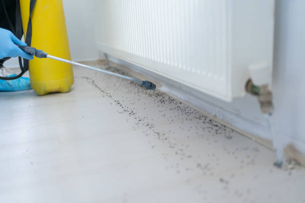 Best Emergency Pest Control  in Leesport, PA